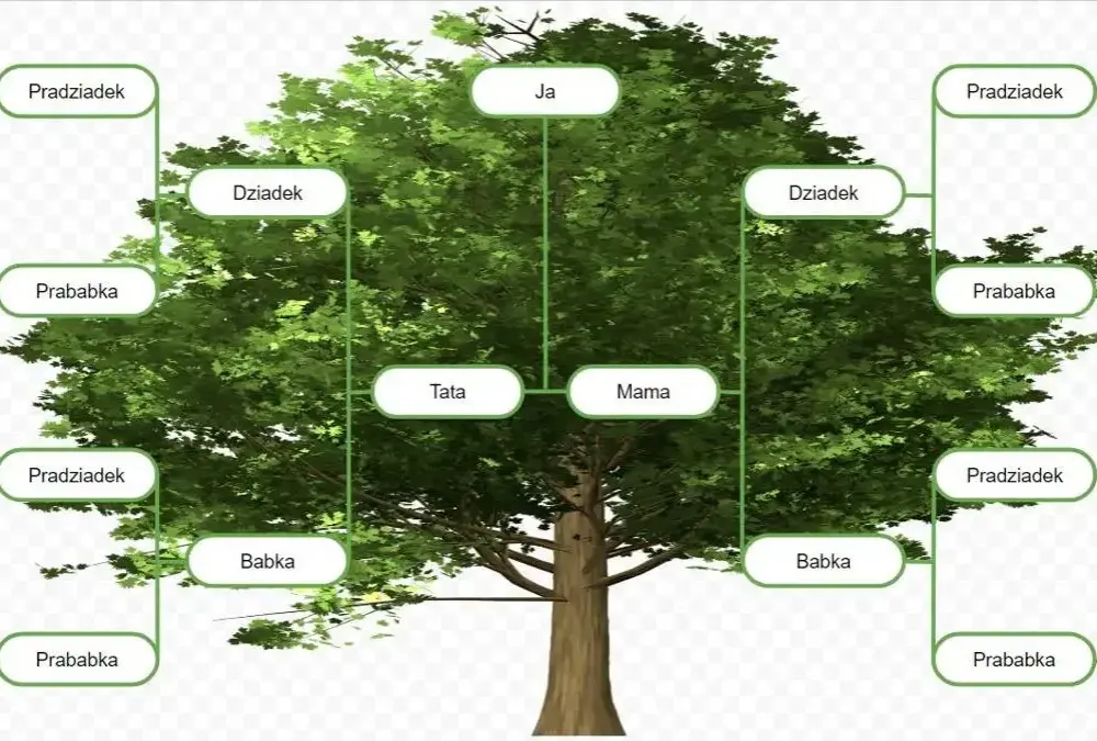 Jakie tajemnice kryje drzewo genealogiczne Adama i Ewy? Badamy