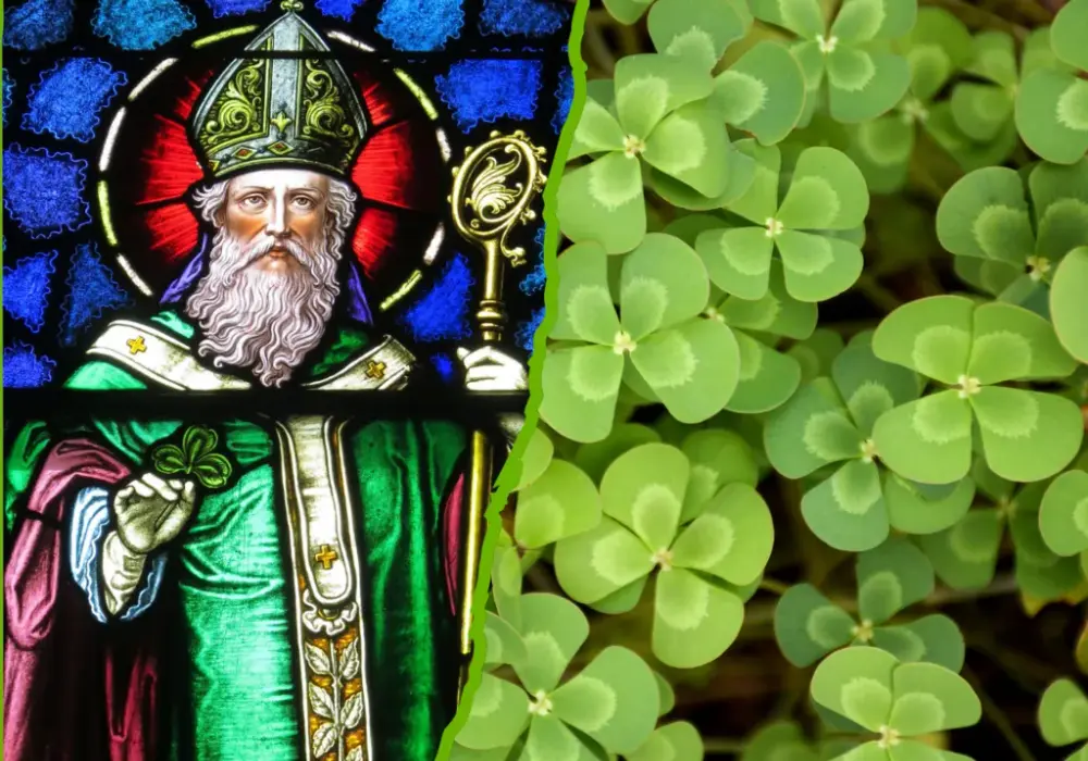 Dlaczego święty Patryk został patronem Irlandii - niezwykła historia misjonarza