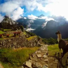 Krzyżówka: góry w Peru i Afryce, wyzwanie dla miłośników geografii