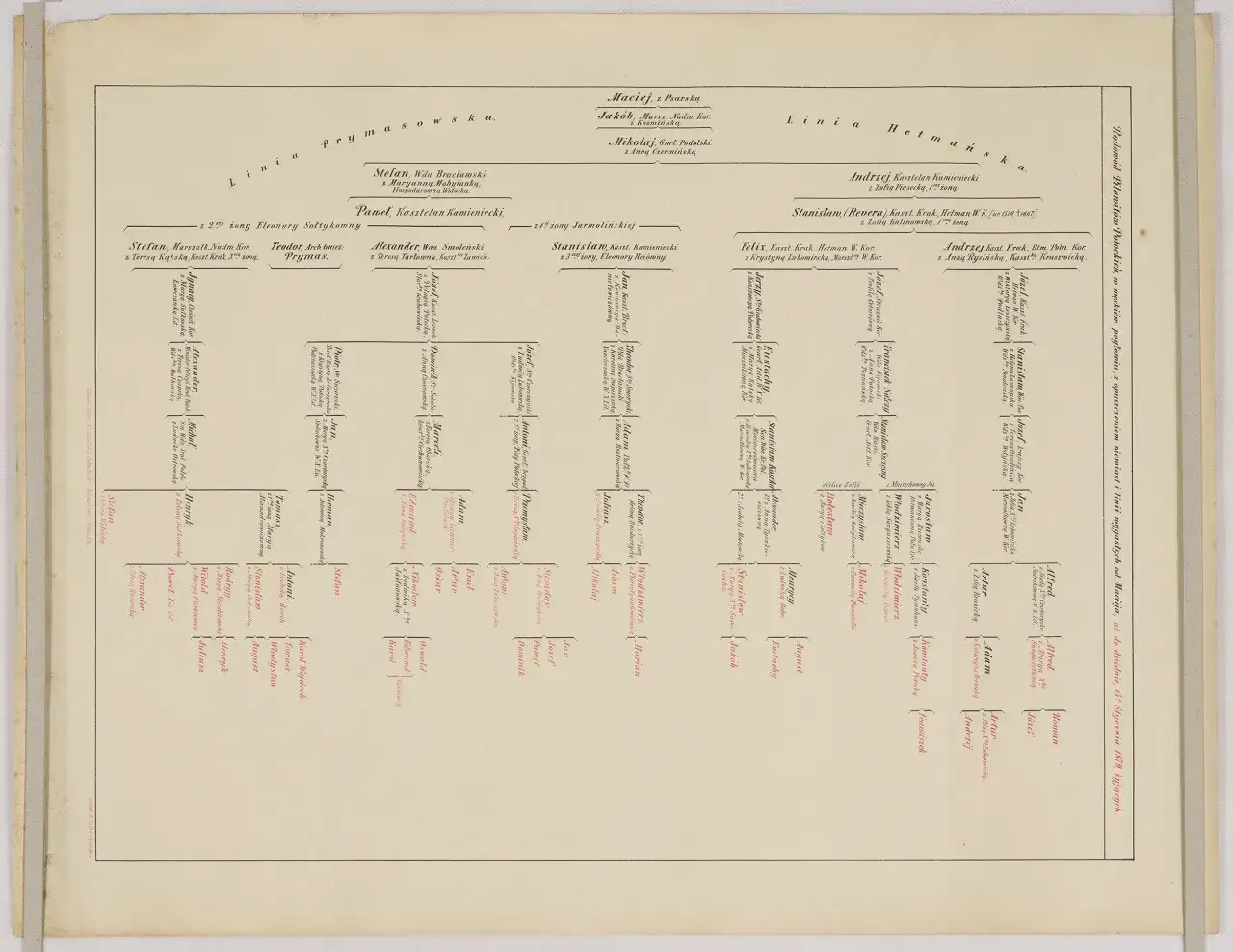 Zdjęcie Jakie tajemnice kryje drzewo genealogiczne Adama i Ewy? Badamy