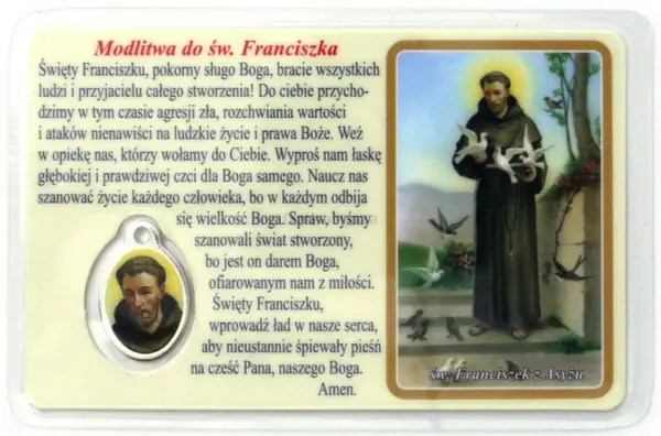Modlitwa do św. Franciszka za zwierzęta - Tekst, sens i wsparcie